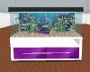 purple fishtank