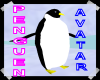 penguin avatar