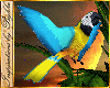 I~Island Macaw & Perch