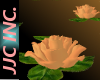 *JJC*water flowers peach