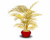 Red N Gold plant
