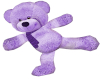Perky Purple Skate Bear