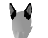 Sexy Siberian Husky Ears