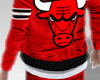 §. Chicago Bulls J...