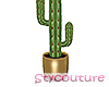 Cactus houseplant gold