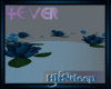 (H) 4ever Water Flower 1