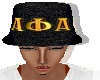 APA Hat 