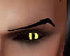 Dragon eyes (m)
