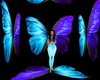 Butterfly Background F