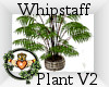 ~QI~ Whipstaff Plant V2