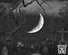 May🕯CemeteryHalloween
