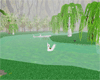 {VIP}Green Swan Lake