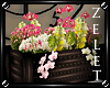 |LZ|Box Of Flowers