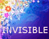 * Invisible Avatar *