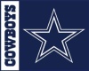 NFL Logo -