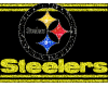 Steelers & Logo