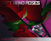 qb.Valentine`s Roses