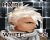 White Hair# Punk* [CC]