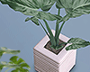 金 Ripple Planter
