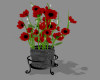 Red Flowers in Planter