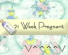 21 Weeks Pregnant (Y)