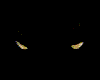 Animated Cat Eyes