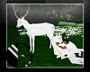 |IGI| White Deer