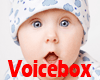 VB) Baby VoiceBox