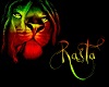 Rasta Lion Coffee Shop