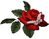 (MMD)rose1