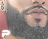 S.001 Beard [ASTERI]