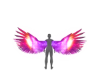 Ascension Wings Dreamer