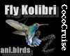 (CC)Flying Kolibri
