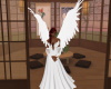 (K) Angel Wings