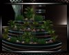 **Emeralds Plant 7