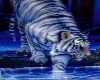 divan tigre bleue