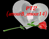 pt2 amor