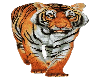 LS sticker tiger