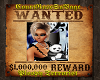 She's Wanted ALive 7