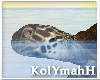 KYH |The RockII turtle