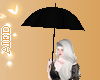 Under my Umbrella -Req