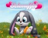 bunny song