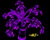 ~MI~ purple fern