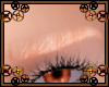 -E- Pink Gold Eyebrows