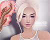 + Petunia bleach