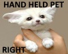 Hand Held Fox