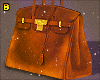 𝖇 Birkin Verso