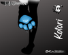 SA♥ Kotori F Feets