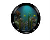 black wall fishtank