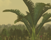 Jungle Tropica Palm..
